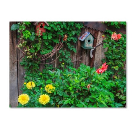 Trademark Fine Art Bob Rouse 'Bird House' Canvas Art, 18x24 ALI15908-C1824GG